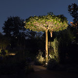 Tuinspot boom uitlichten